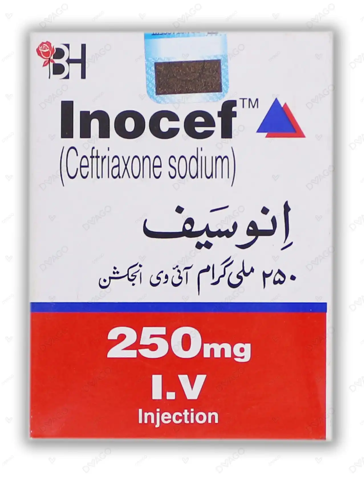 Inocef Injection 250mg I.v